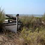 The Ria Formosa